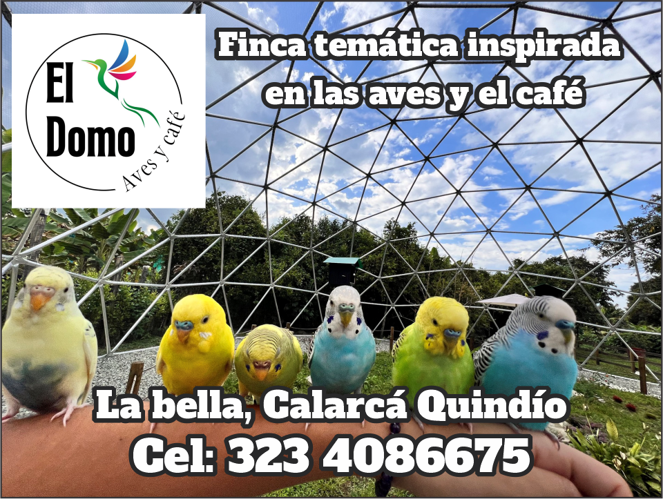 Domo de las Aves, Calarcá